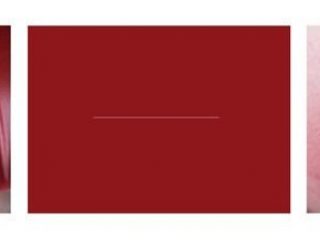 "ladder", stampe lambda su legno, acrilico su legno, cm.50x182, 2005