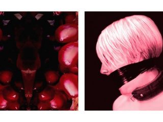 "untlited", stampe lambda su leger, cm.20x20h (2 pannelli), 2006 (collezione privata)