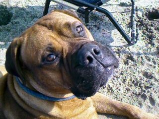 Murphy!