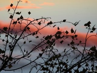 "Trets al tramonto"