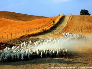 ...estate in toscana...