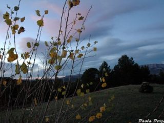 Trets : " Sainte Victoire "