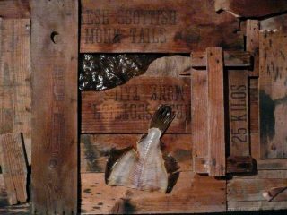 JIUMIDEM PORT - TRASH ART .