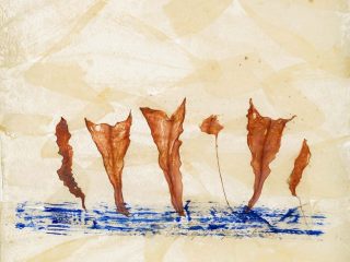 Ballerine- 54° BIENNALE DI VENEZIA - PADIGLIONE ITALIA - OPERE DI ORGANIC TRASH ART