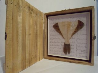 NEDERLANDSE VISSERYJ ORGANIC TRASH ART.  