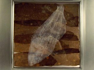 FACE -  ORGANIC TRASH ART -