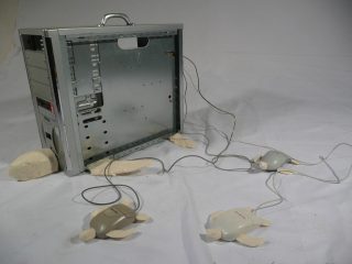 "Progresso lento"! Computer, mouse e repliche di tartarughe in resina 
Presentato a AAM MILANO Superstudiopiù 2008