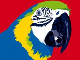 scarlet macaw
stampa digitale