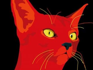 red cat
stampa digitale