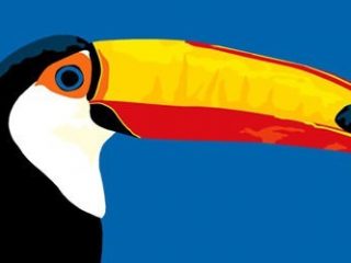toucan
stampa digitale