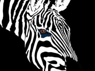 zebra
stampa digitale