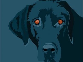blue dog
stampa digitale