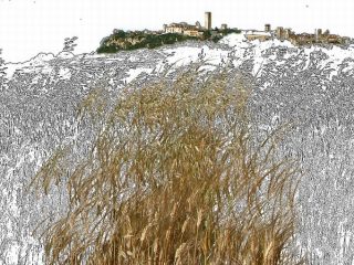 Tarquinia - Foto Grafica Digitale