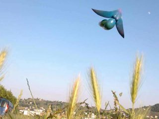 Biluna in volo. Un elemento dell'installazione "il mito, la luce, il volo" Villa Medicea La Magia, Quarrata PT .  23 giugno-7 luglio 2013