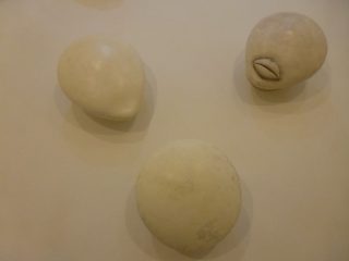 Volti da Basso, particolare