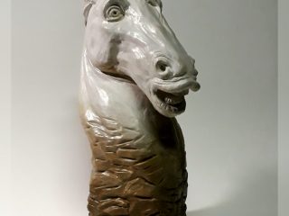 Studio di cavallo