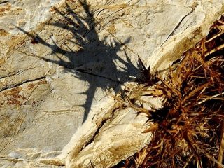 .....particolare di rocce