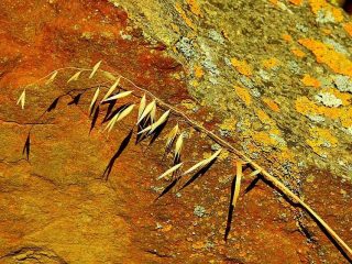 ...particolari di rocce