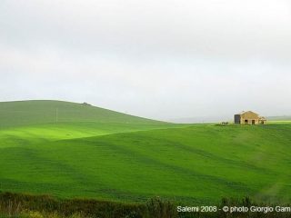 Campagna siciliana di Salemi