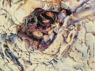 Ragnatela
Acquerello su cartoncino
57 x 75,5 - 2005