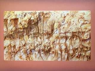 Alghe
Olio su tela
80 x 120 - 2007