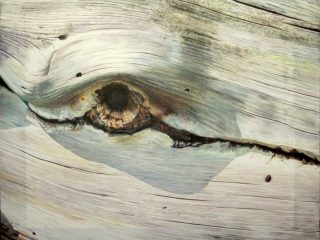 Occhio di legno
Olio su tela estroflessa
100 x 120 - 2009