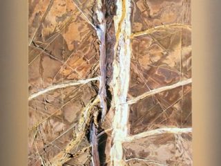 Dorsale
Olio su tela
80 x 100 - 2007