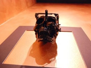 SKULL: RETURN TO SENDER
dal 15 maggio al 7 giugno 2008

ESOSCHELETRO di Alessandro Antonello