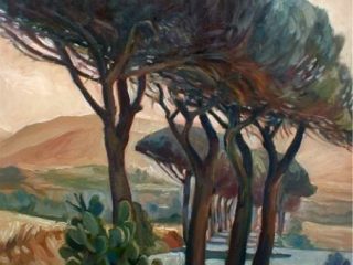 Pini (olio su tela 60x80)