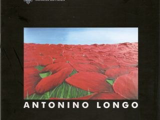 Copertina del catalogo edito e curato dalla Provincia regionale di Palermo, per la mostra personale del 2008.
In copertina particolare del rilievo dei papaveri 