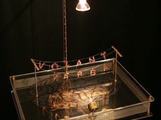 VERBA VOLANT