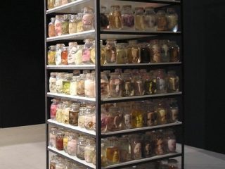 "Crisis de identidad" Installazione composta da 250 pezzi di vetro, latex e acqua. Dimensioni variabili. Anno 1999-2006. 