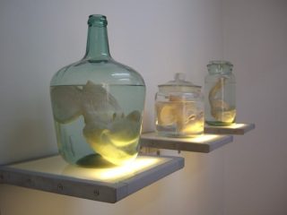 "Memoria atrapada" Tre pezzi di vetro, latex e acqua su piattaforma retroilluminata.Dimensioni variabili. Anno 2007