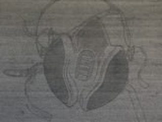 Fabio Fontana - "A volte respiro" 2008 - 90x90 cm ink gel/parole su tela