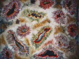Feltri - barriea corallina 1