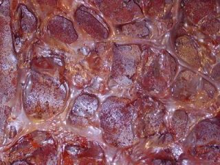 Ciralò (plastiche) - Plasma ferroso