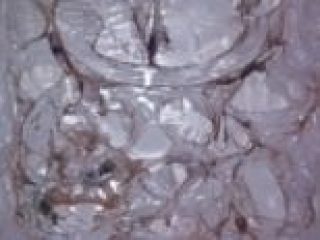 Ciralò (plastiche) - Lacerartico