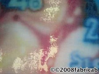 200817HL10 - oil on canvas cm80x60 (2008)