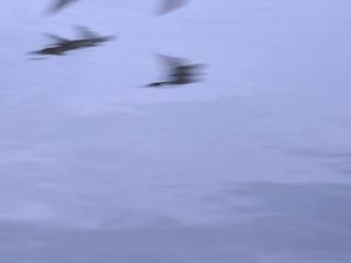 L' opera è il luogo 1