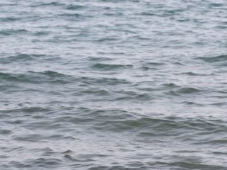 L' opera è il luogo 2
