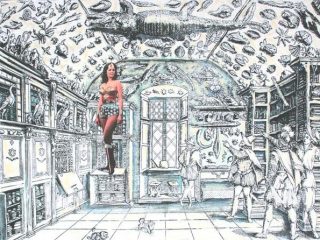 Daniele Leoni, Wonderkammer, acrilico su sinopia digitale