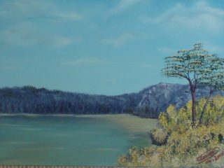 paesaggio di montagna-libero
olio su tela 25x30