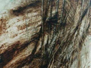 olio su tela ,70x 100
