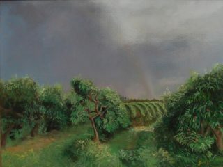 TEMPORALE  IN  ARRIVO