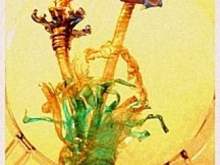 scultura in pet