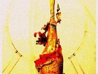 scultura in pet