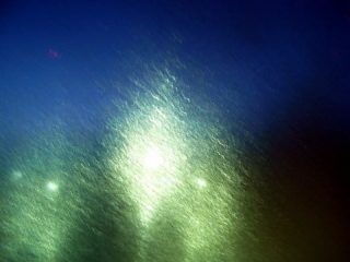 frozen lights