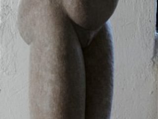 "nudo giovane" fontanelli 2008