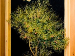 Redenzione - olio su tela (50X70) - 2008
