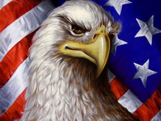 American Eagle by Ilian Rachov

oil on canvas
40/40cm
Turin,Italy
2009